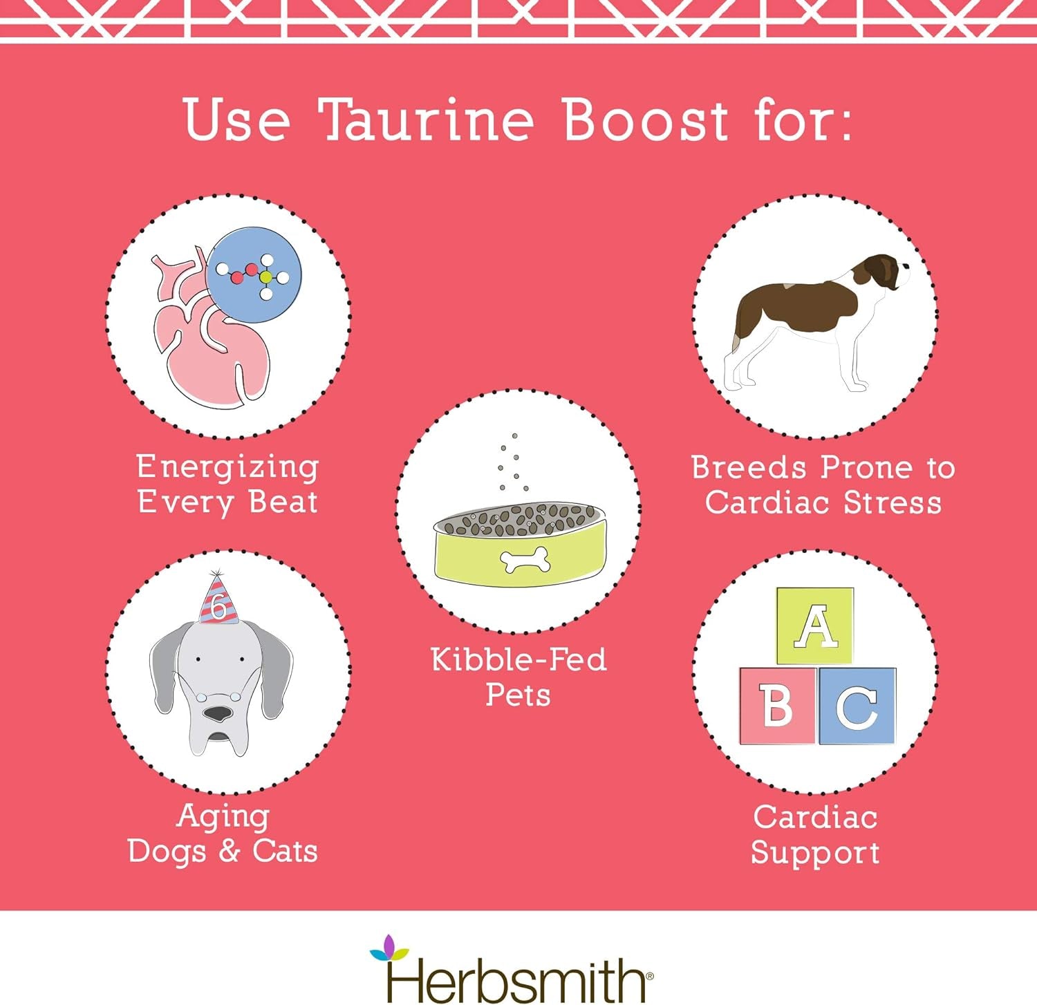 Taurine Boost - Cardiac and Heart Support for Dogs and Cats | With CoQ10, Taurine, and L-Carnitine | Advanced Heart Health Supplement