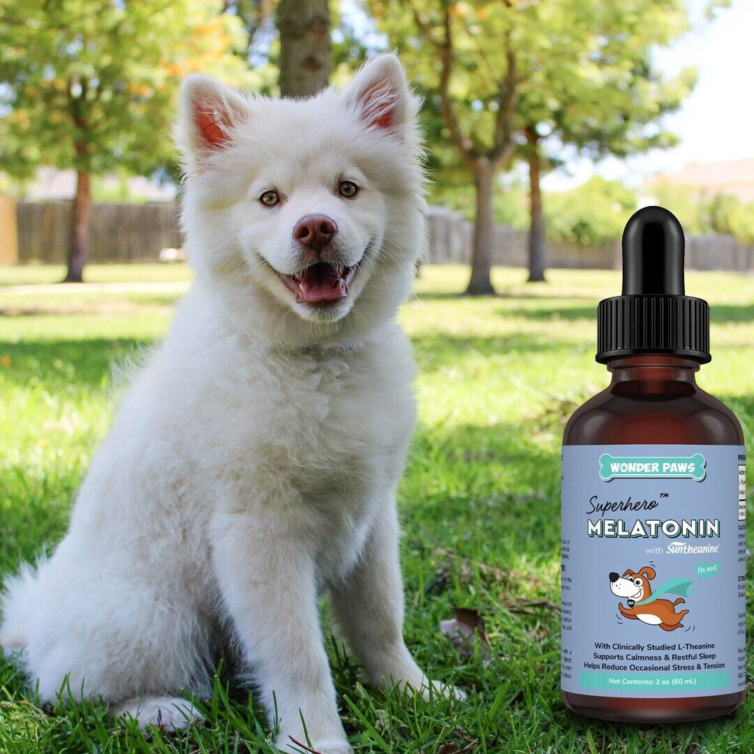 Wonder Paws Calming Melatonin Drops for Dogs | L-Theanine (Suntheanine®) | Reduces Anxiety & Promotes Restful Sleep